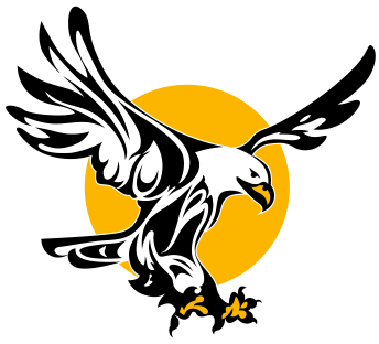 Aneth Community School Eagle