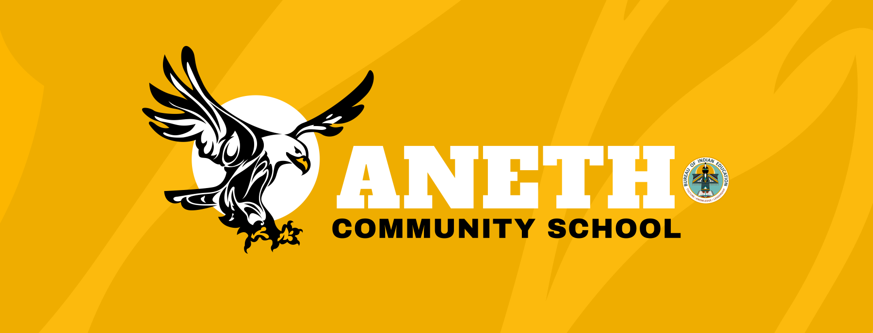 Aneth Community School