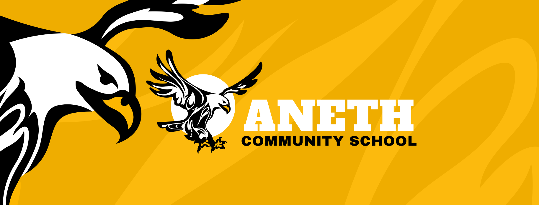 Aneth Community School banner with eagle logo